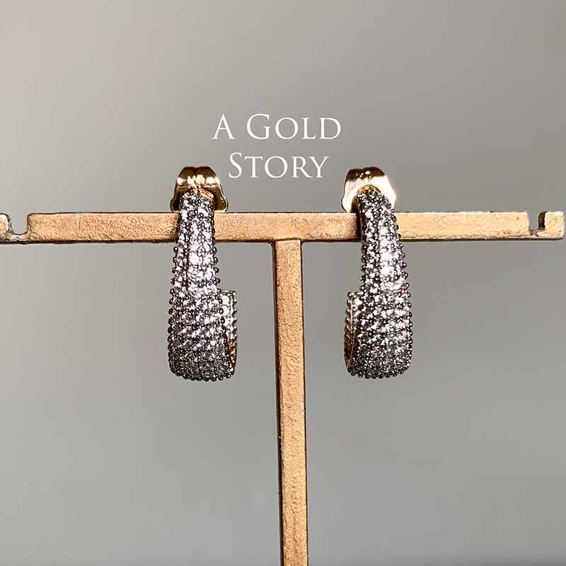 ALEEZA EARRINGS