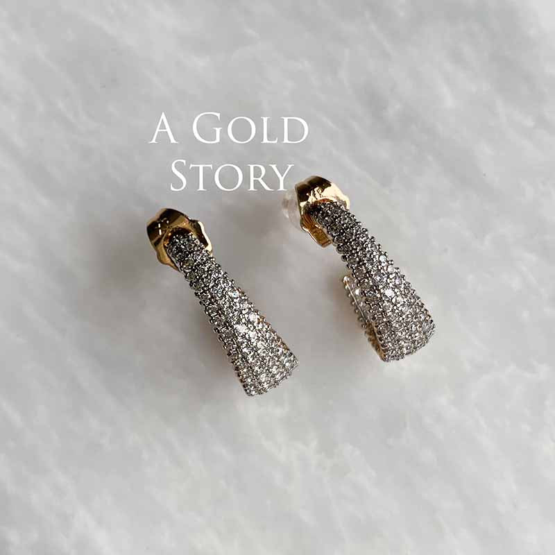 ALEEZA EARRINGS