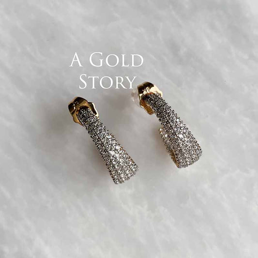 ALEEZA EARRINGS